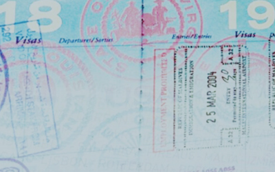 Consulenze, Servizi Doganali e Documentazione